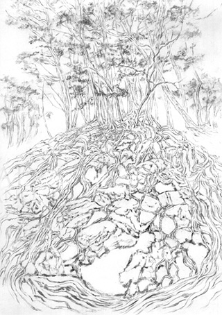 8話の根の山