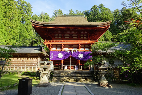 丹生都比売神社拝殿から