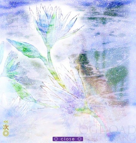 2005年2月3日