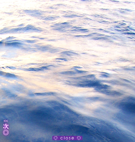 2012年5月19日